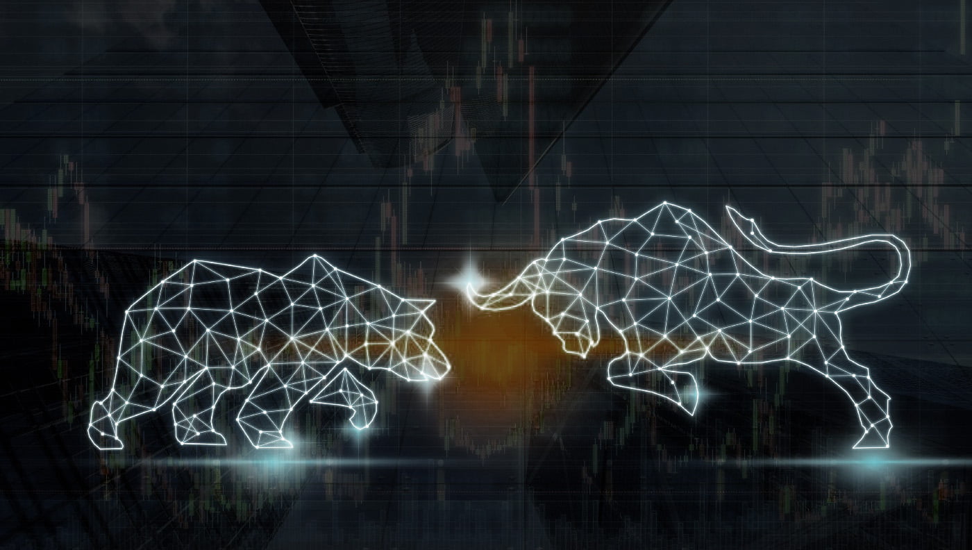 Sfarsitul notiunii de „bear market”